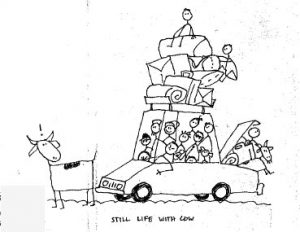 Car and Cow